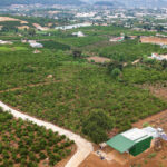Bán đất Lộc Nam Bảo Lâm – Lý do nên mua đất Lộc Nam, Bảo Lâm