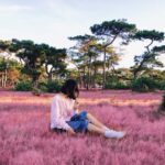 Một số lưu ý khi đi du lịch Đà Lạt tháng 11 hiệu quả nhất