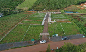 Có nên mua đất nông nghiệp Lâm Đồng để đầu tư từ bây giờ?