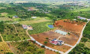 Có nên “rót vốn” đầu tư mua đất vườn Bảo Lâm không?