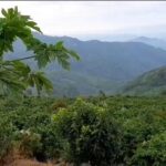 Có nên đầu tư vào phân khúc đất vườn Đức Trọng không?