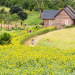 Top 04 farmstay Đà Lạt đẹp như mơ – Bạn đã biết chưa?