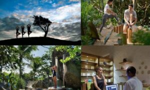 BĐS chăm sóc sức khỏe & Wellness Tourism: kiến tạo tương lai bền vững