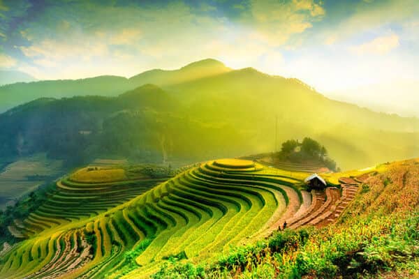 Thiên nhiên Việt Nam nhiều ưu ái