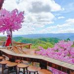 Tất tần tần về cổng trời Bali Green Hill Đà Lạt