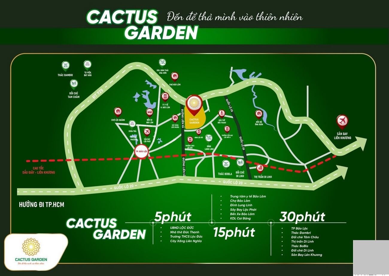 Cactus Garden 1
