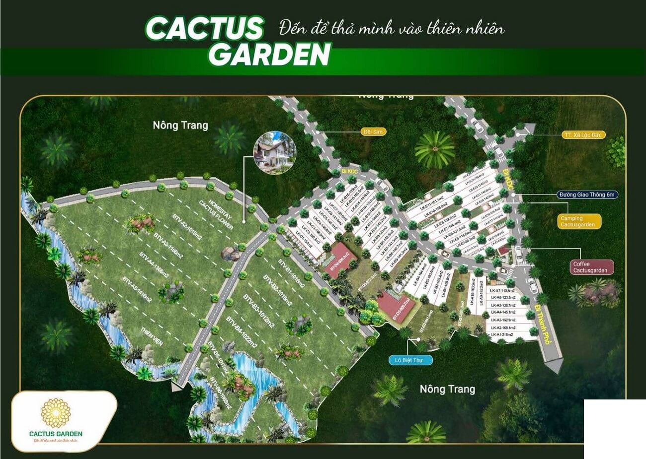 Cactus Garden 2